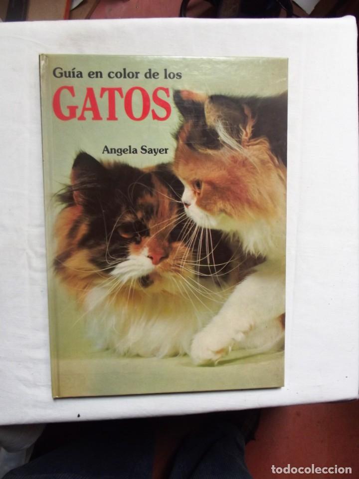 Libros: GUIA EN COLOR DE LOS GATOS DE ANGELA SAYER - Foto 1
