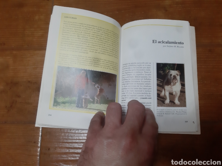 Libros: Libro Perros de Raza (El Bulldog) - Foto 3