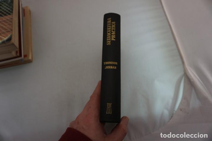 Libros: 19D/ SELVICULTURA PRACTICA - THOMAS THOMSON / ZEUS - Foto 1