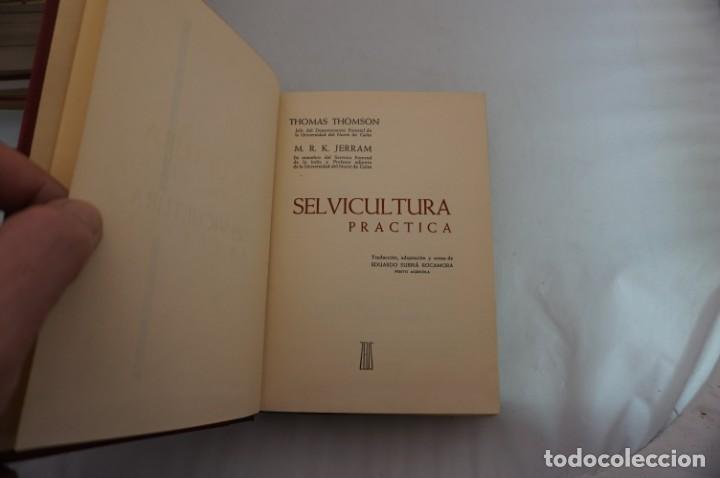 Libros: 19D/ SELVICULTURA PRACTICA - THOMAS THOMSON / ZEUS - Foto 3