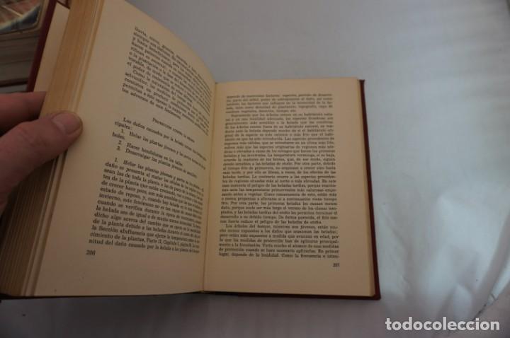 Libros: 19D/ SELVICULTURA PRACTICA - THOMAS THOMSON / ZEUS - Foto 4
