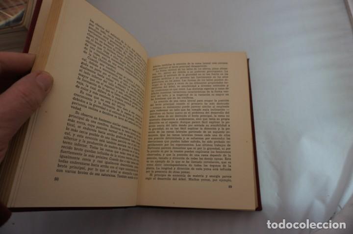 Libros: 19D/ SELVICULTURA PRACTICA - THOMAS THOMSON / ZEUS - Foto 5