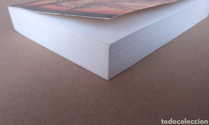 Libros: Las siete claves de la curaci&oacute;n. Gerald Epstein. RBA. Libro - Foto 6