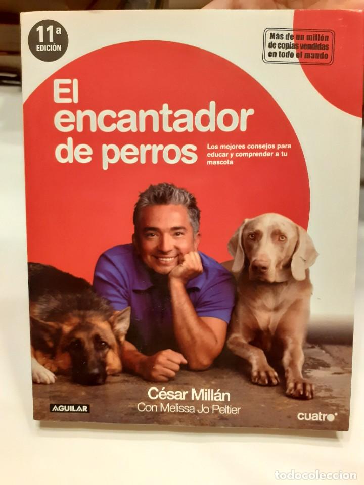 Libros: EL ENCANTADOR DE PERROS - C&eacute;sar Mill&aacute;n - Foto 1