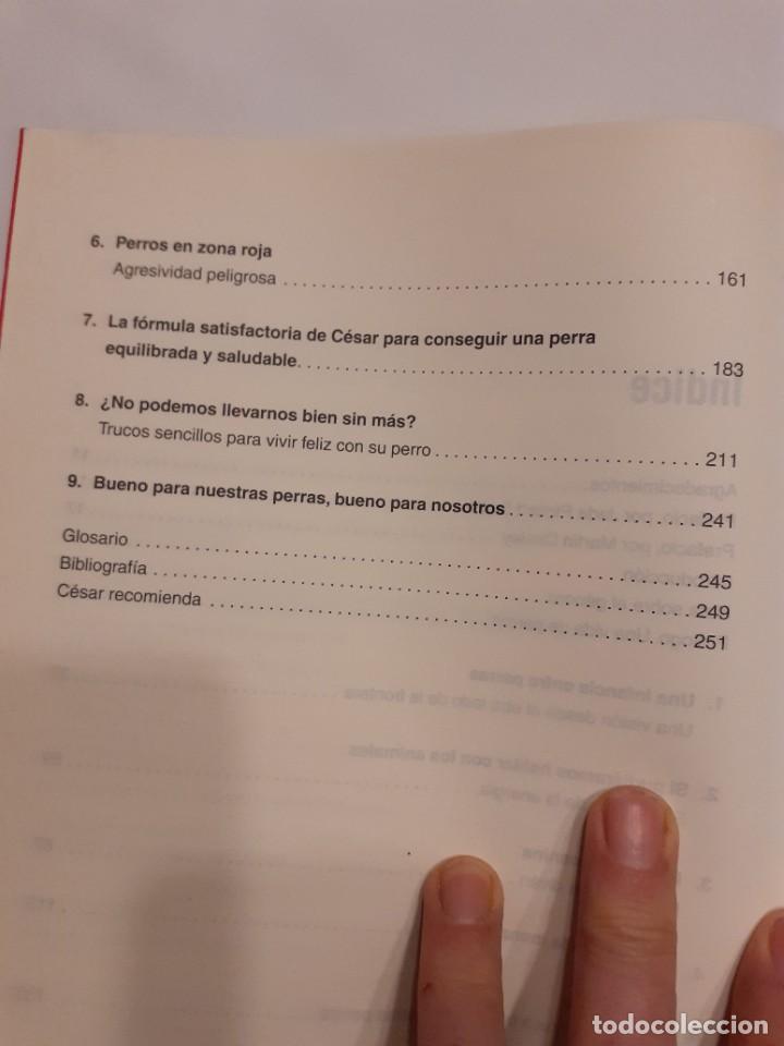 Libros: EL ENCANTADOR DE PERROS - C&eacute;sar Mill&aacute;n - Foto 3