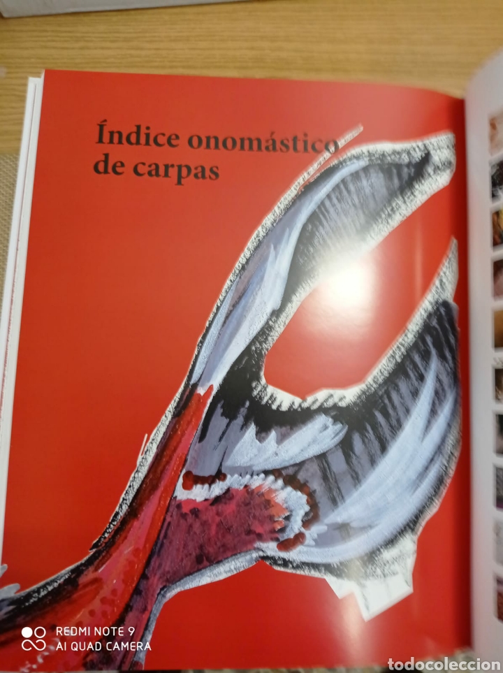 Libros: 100 Taytantas carpas - Foto 8