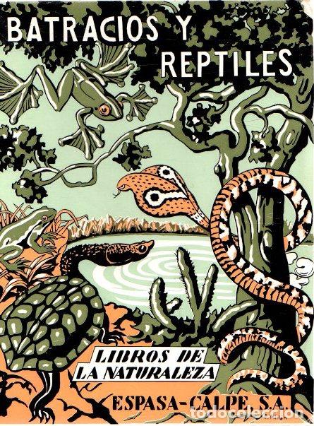 Libros: Los batracios y los reptiles - Mart&iacute; de Tortajada, Josefa - Foto 1