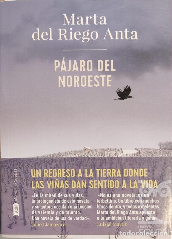 Libros: P&aacute;jaro del Noroeste - Marta del Riego - Foto 1