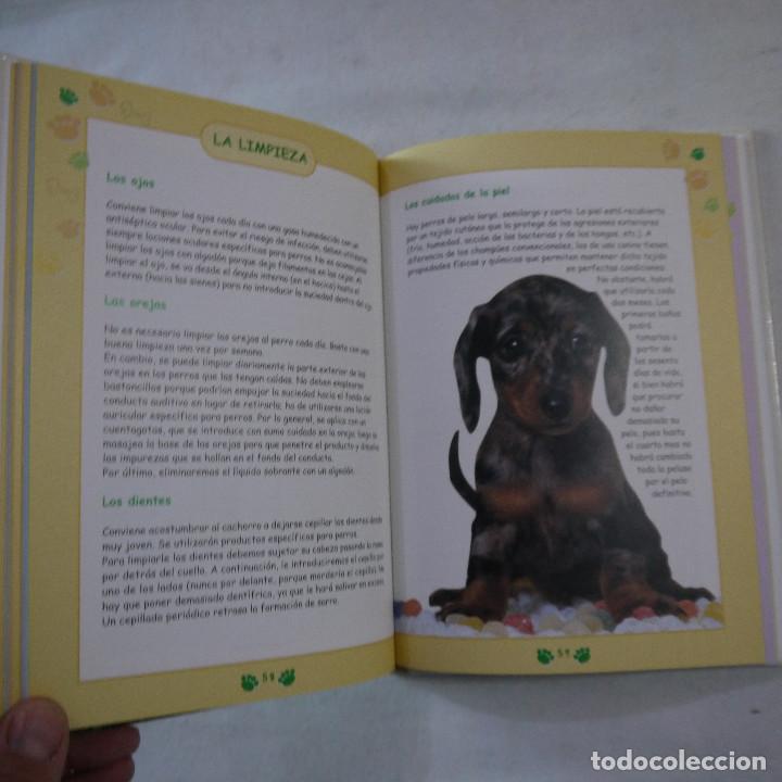 Libros: EL LIBRO DE MI CACHORRO - FLORENCE DESACHY - EDITORIAL DE VECCHI - 2001 - Foto 8
