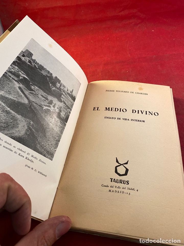 Libros: El medio Divino - Foto 2
