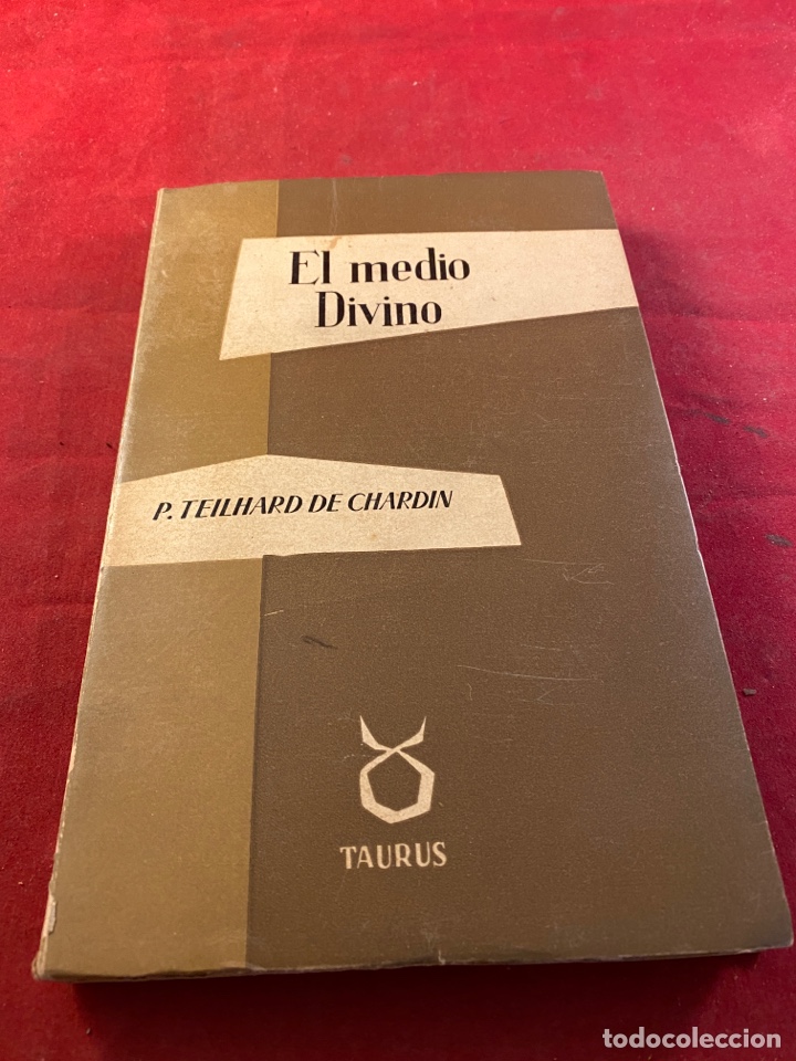Libros: El medio Divino - Foto 1