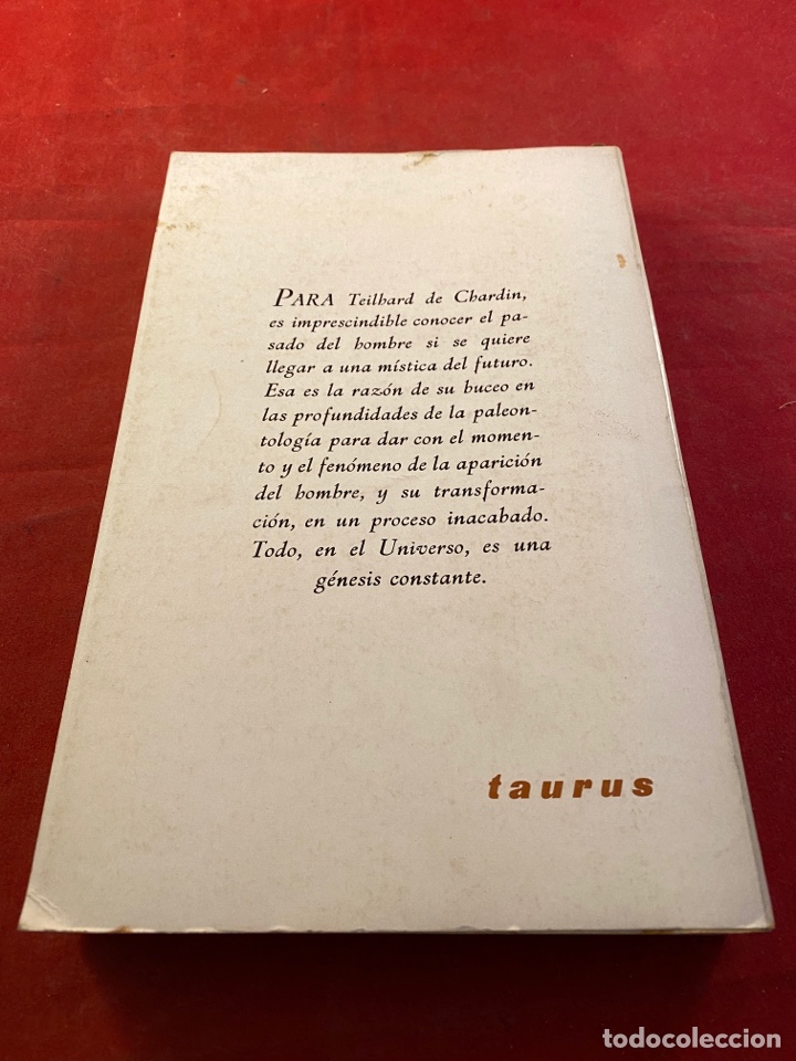 Libros: La visi&oacute;n del pasado - Foto 2
