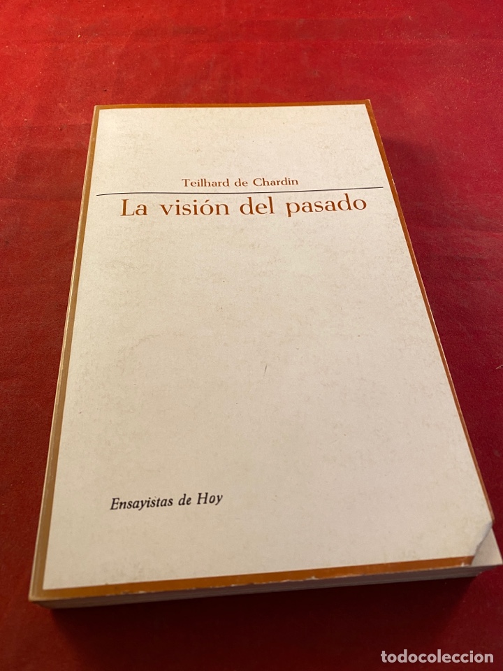 Libros: La visi&oacute;n del pasado - Foto 1
