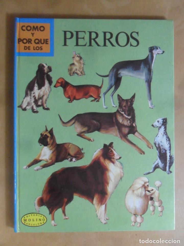 Libros: COMO Y POR QUE DE LOS PERROS - MOLINO - 1971 - Foto 1