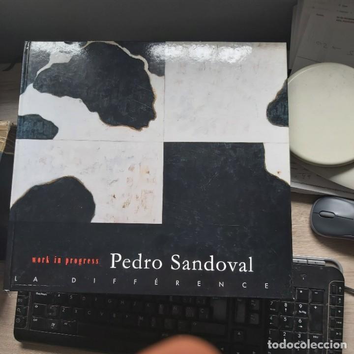 Libros: Pedro Sandoval work in progress la difference TEXTOS julia saez angulo emilio lamo de espinosa vazqu - Foto 1
