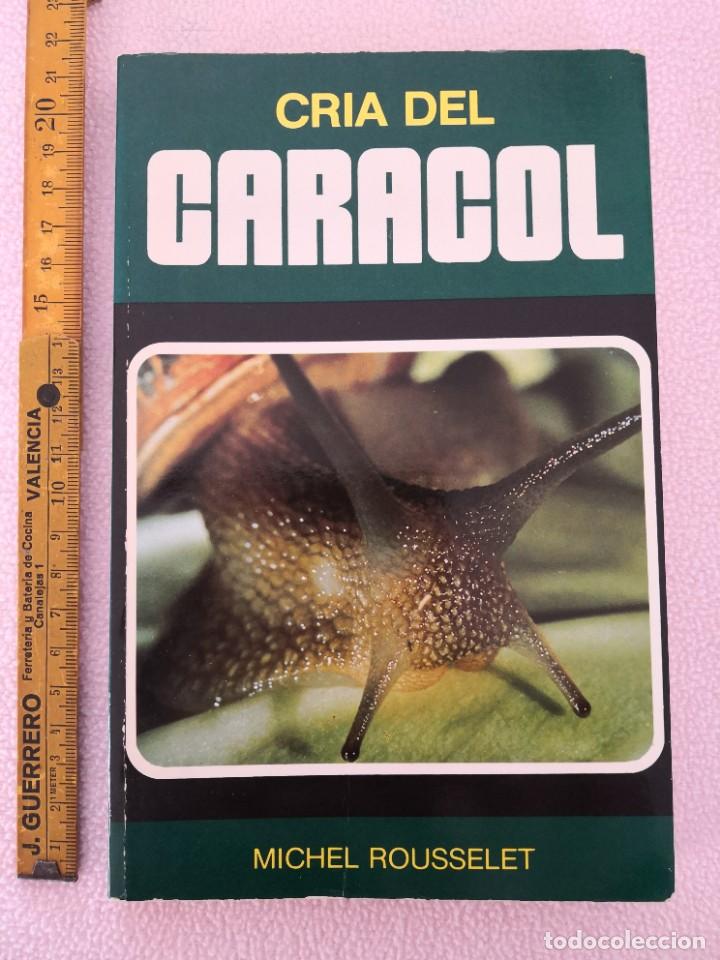 Libros: Cr&iacute;a del caracol LIBRO -env&iacute;o certif- 4,99 - Foto 1