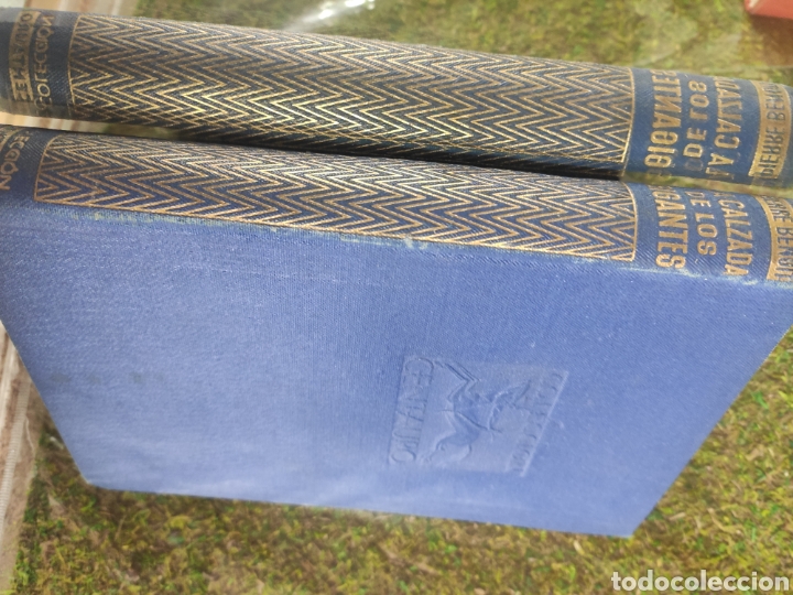 Libros: La calzada de los gigantes - Foto 3