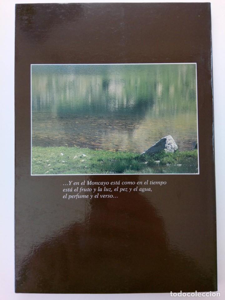 Libros: AZABACHE Y CORAL - JOSEFINA VERDE - Foto 2