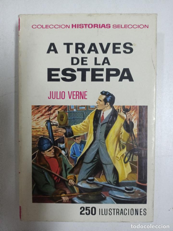 Libros: A traves de la estepa / Julio Verne - Foto 1