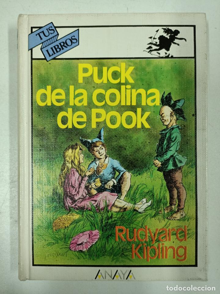 Libros: PUCK DE LA COLINA DE POOK / Rudyard Kipling - Foto 1