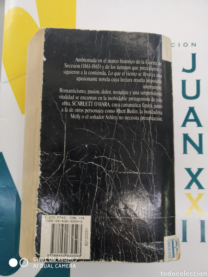 Libros: Lo que el viento se llev&oacute;. - Foto 2