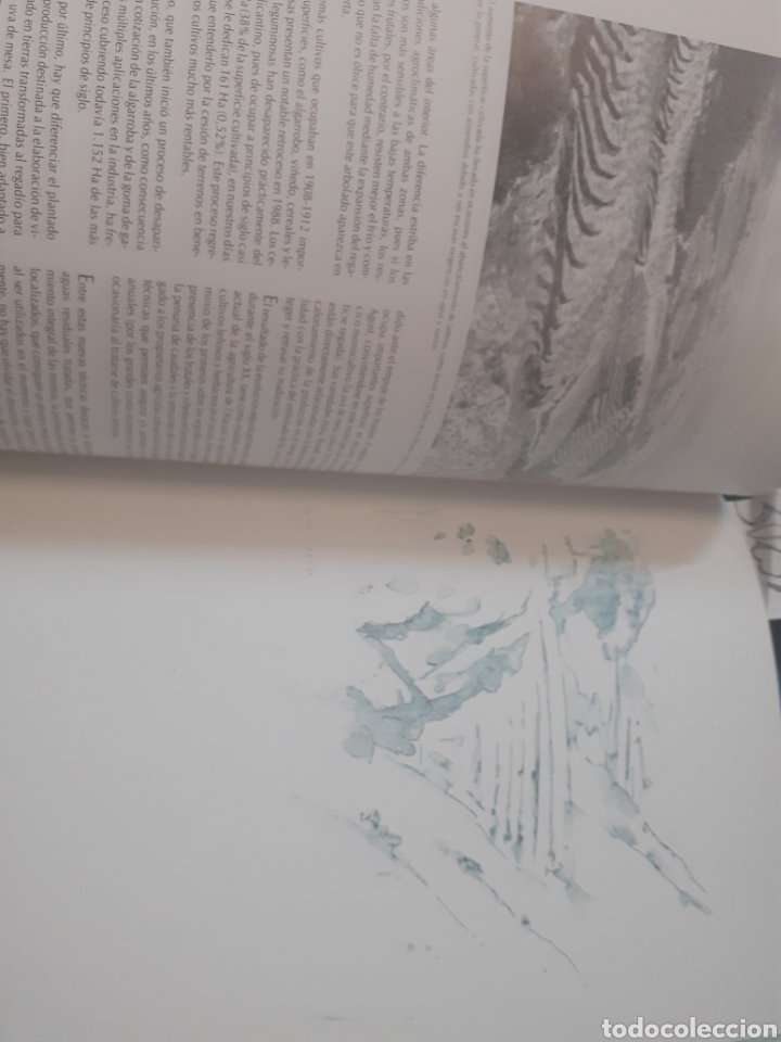 Libros: COMARCA L&acute;ALACANTI - V. V. A. A. - Foto 10