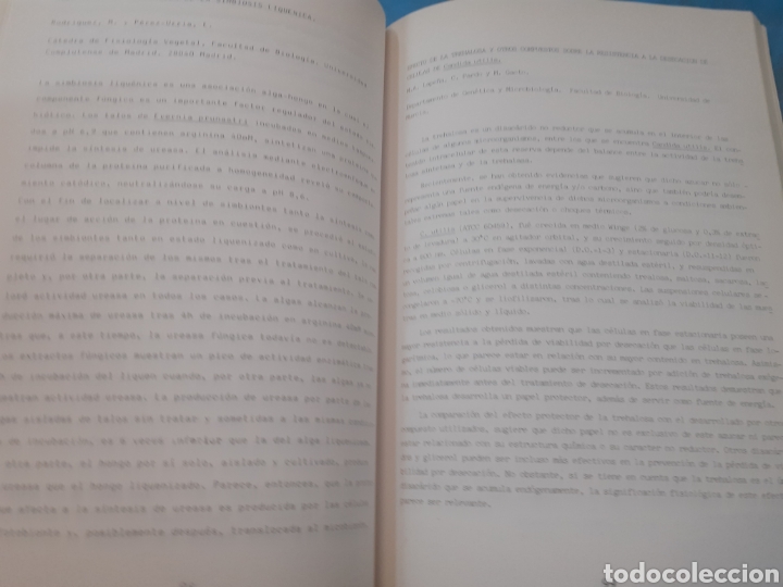 Libros: IV REUNION CONJUNTA DE MICOLOGIA - V.V. A. A - Foto 4