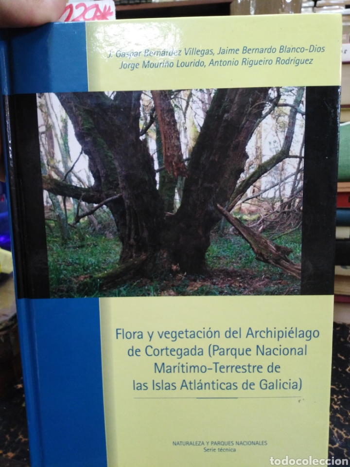 Libri di seconda mano: FLORA Y VEGETACION DEL ARCHIPIELAGO DE CORTEGADA. Parque nacional mar&iacute;timo terrestre de las islas at