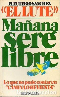 Libros: MA&Ntilde;ANA SERE LIBRE - SANCHEZ, ELEUTERIO - Foto 1