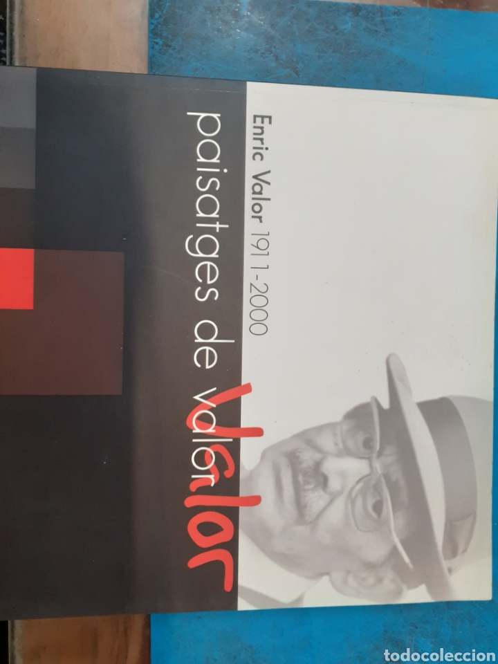 Libri di seconda mano: PAISATGES DE VALOR. Enric Valor 1911-2000 - Joan Borja i Sanz, Vicent Brotons Rico (coordinadors)