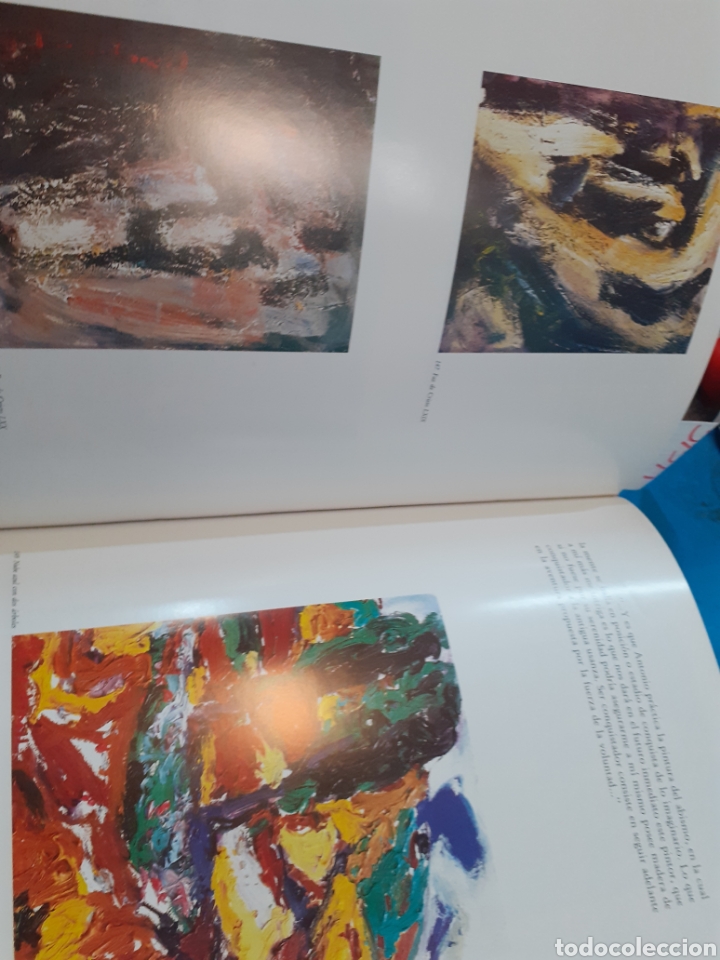 Libros: PERIS CARBONELL. Obra 1988 - QUINTANILLA, Manuel - Foto 5