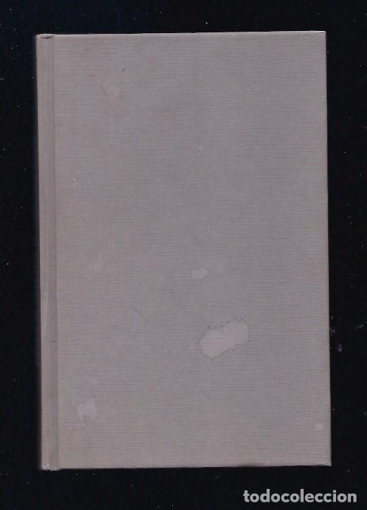 Libros: MAESTRO DE PIEDRA - EL - POWNALL, DAVID - Foto 1