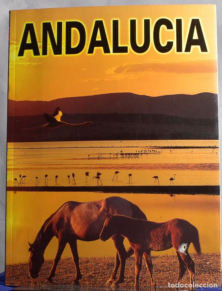 Libros: Andaluc&iacute;a - Varios autores - Foto 1
