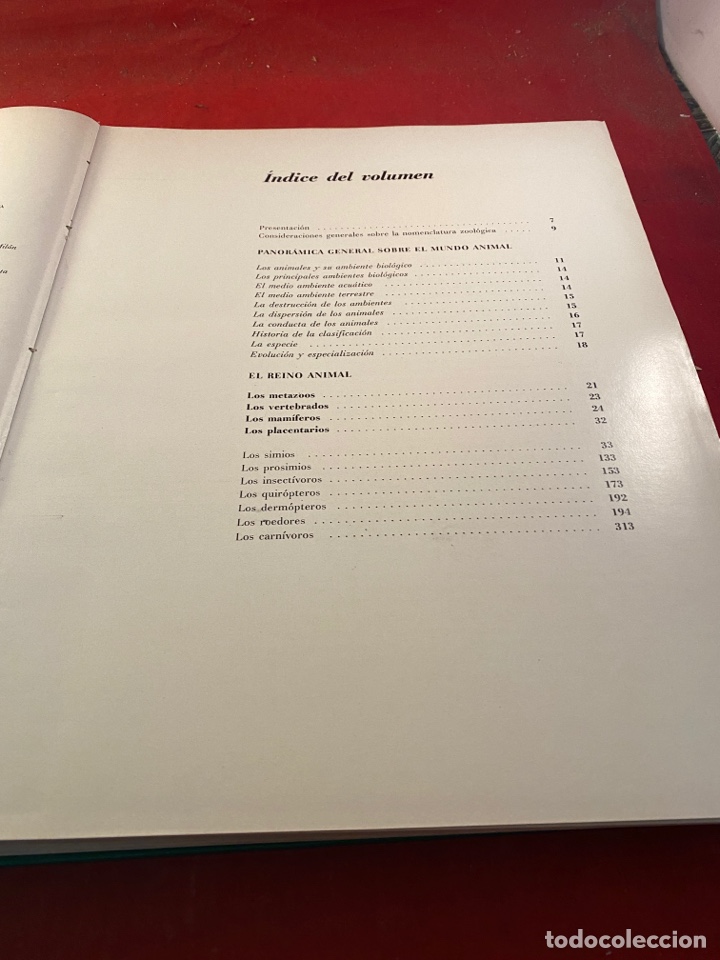 Libros: EL MUNDO DE LOS ANIMALES - Foto 2