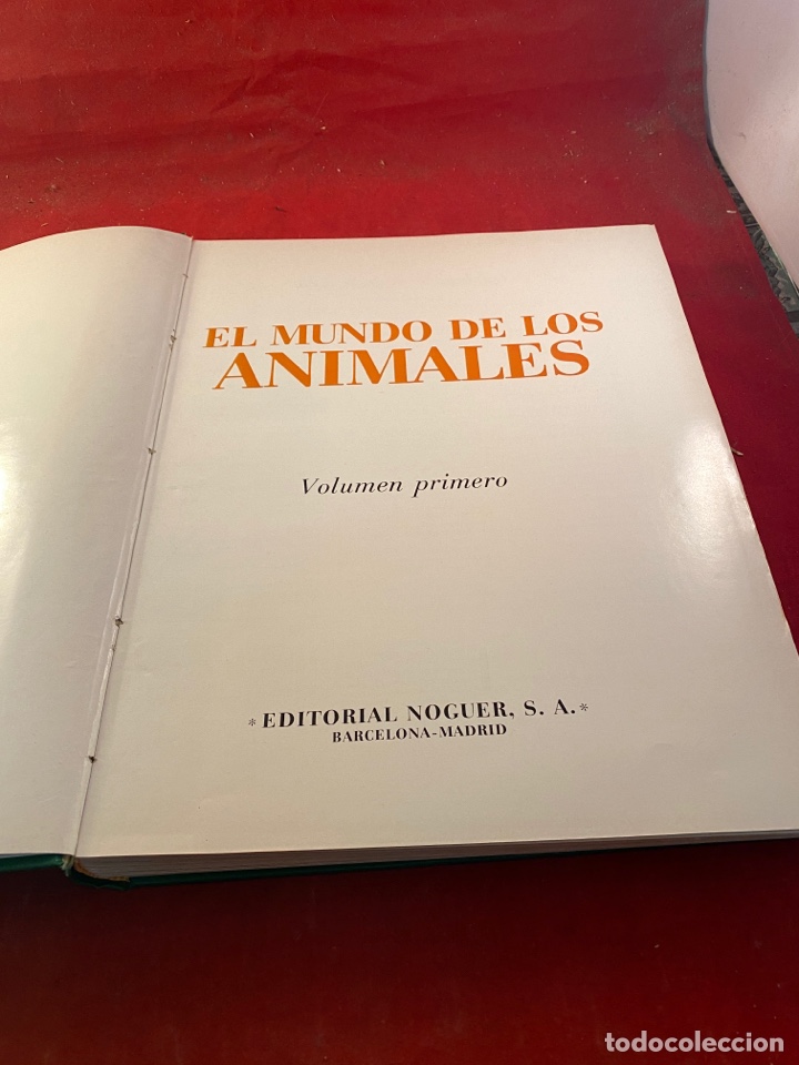 Libros: EL MUNDO DE LOS ANIMALES - Foto 1