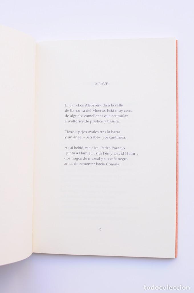 Libros: Los Alebrijes - VALD&Eacute;S D&Iacute;AZ-V&Eacute;LEZ, Jorge - Foto 3