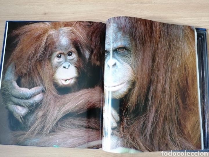 Libros: ENCICLOPEDIA DE LOS ANIMALES / MAM&Iacute;FEROS II - Foto 2