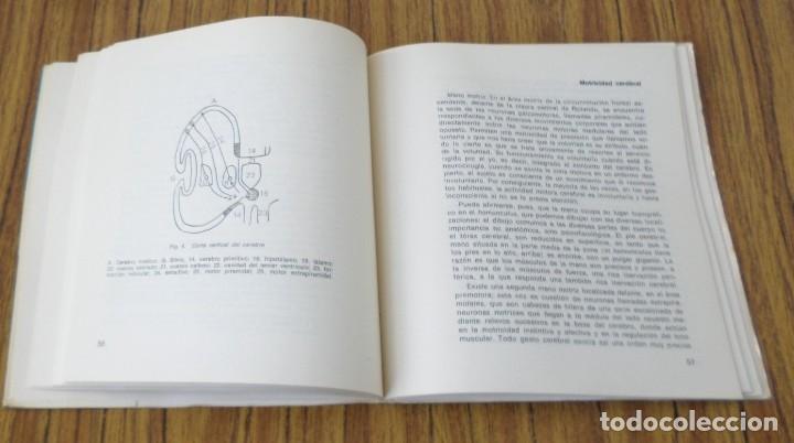 Libros: EL CELEBRO Y LA MANO CREADORA - Paul Chauchard - Foto 6