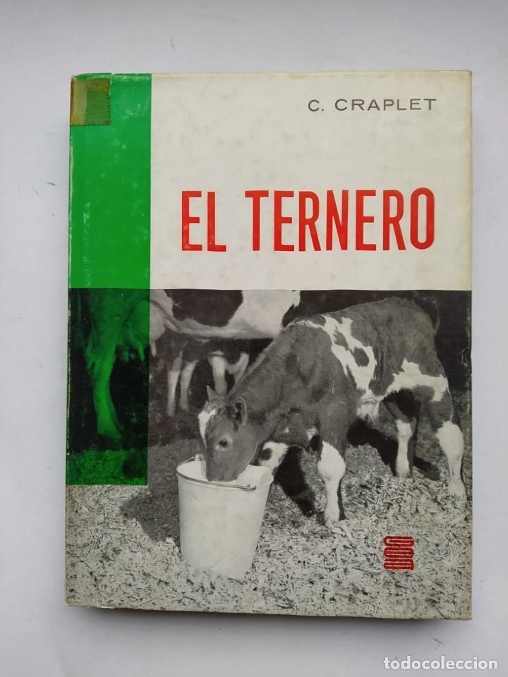 Libros: EL TERNERO. - C. Craplet. TDK619 - Foto 1