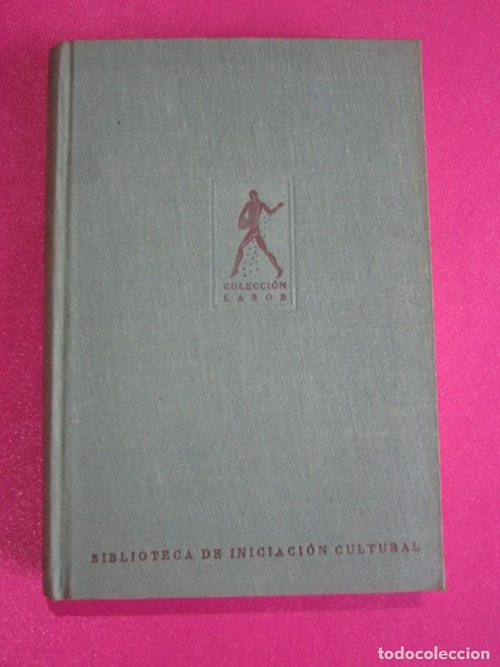 Libros: LA VIDA DE LAS ABEJAS KARL V FRISCH - Foto 8