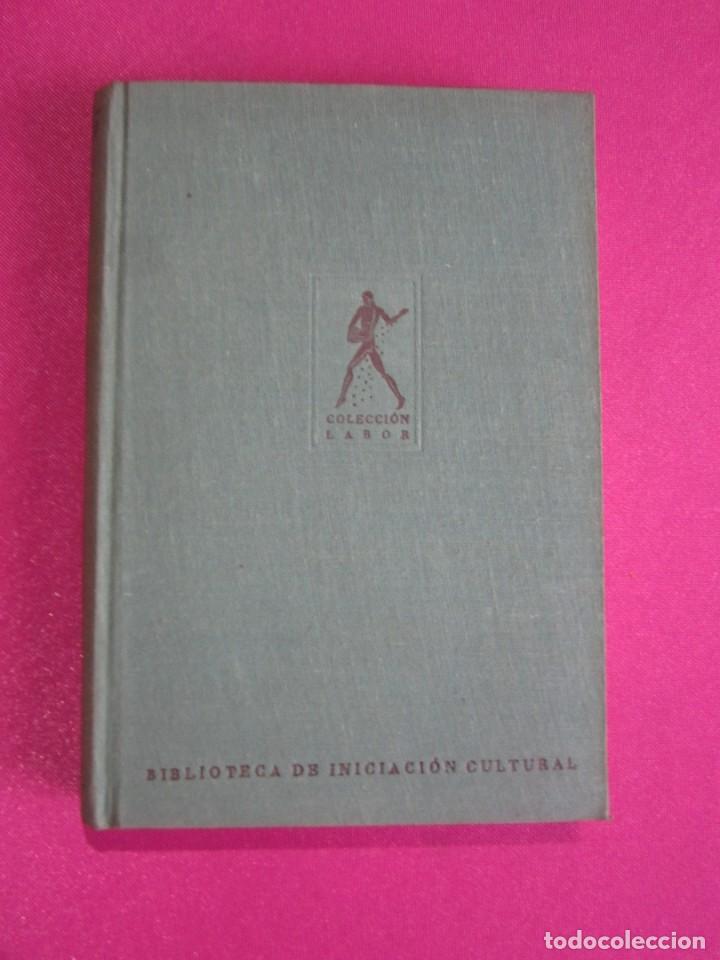 Libros: LA VIDA DE LAS ABEJAS KARL V FRISCH - Foto 9