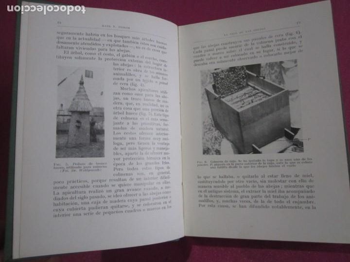 Libros: LA VIDA DE LAS ABEJAS KARL V FRISCH - Foto 4