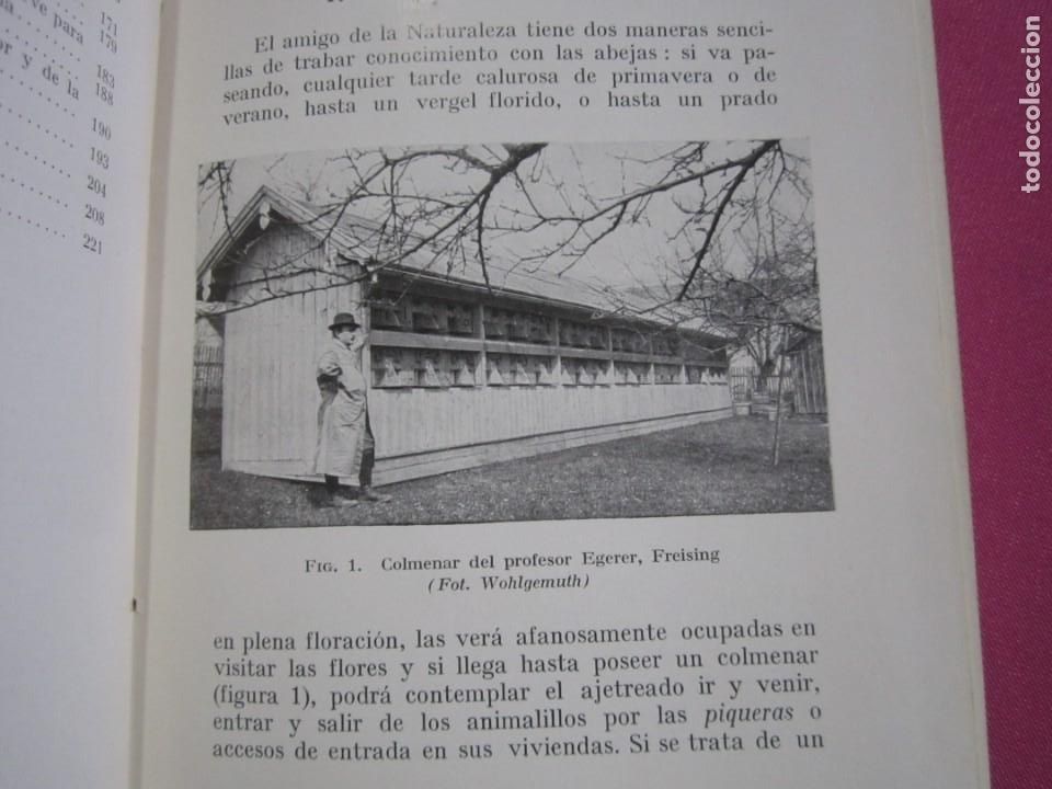 Libros: LA VIDA DE LAS ABEJAS KARL V FRISCH - Foto 3
