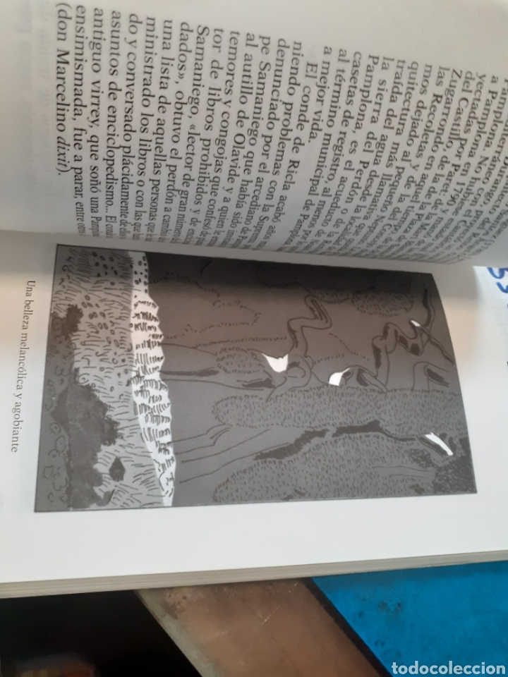 Libros: PAMPLONA - SANCHEZ OSTIZ,Miguel. - Foto 5