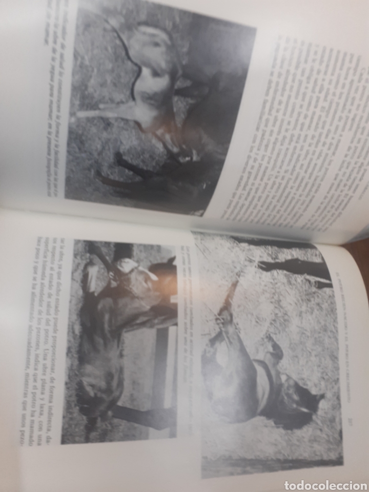 Libros: CRIA Y REPRODUCCION DEL CABALLO - ROSSDALE,Peter. - Foto 4