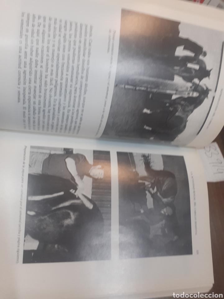 Libros: CRIA Y REPRODUCCION DEL CABALLO - ROSSDALE,Peter. - Foto 6