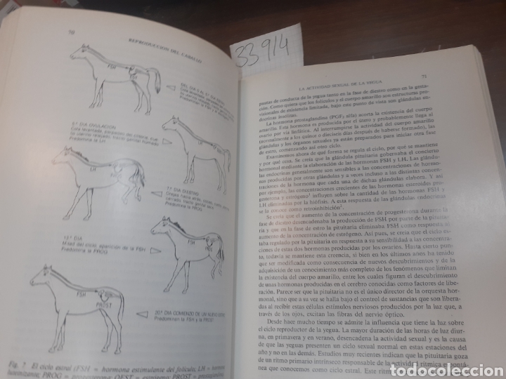 Libros: CRIA Y REPRODUCCION DEL CABALLO - ROSSDALE,Peter. - Foto 7