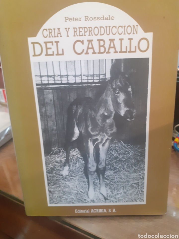 Libros: CRIA Y REPRODUCCION DEL CABALLO - ROSSDALE,Peter. - Foto 1