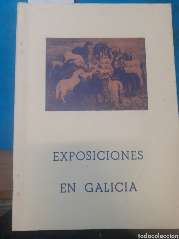 Libros: EXPOSICIONES EN GALICIA. Memorias - FERNANDEZ SANCHEZ,J. - Foto 1