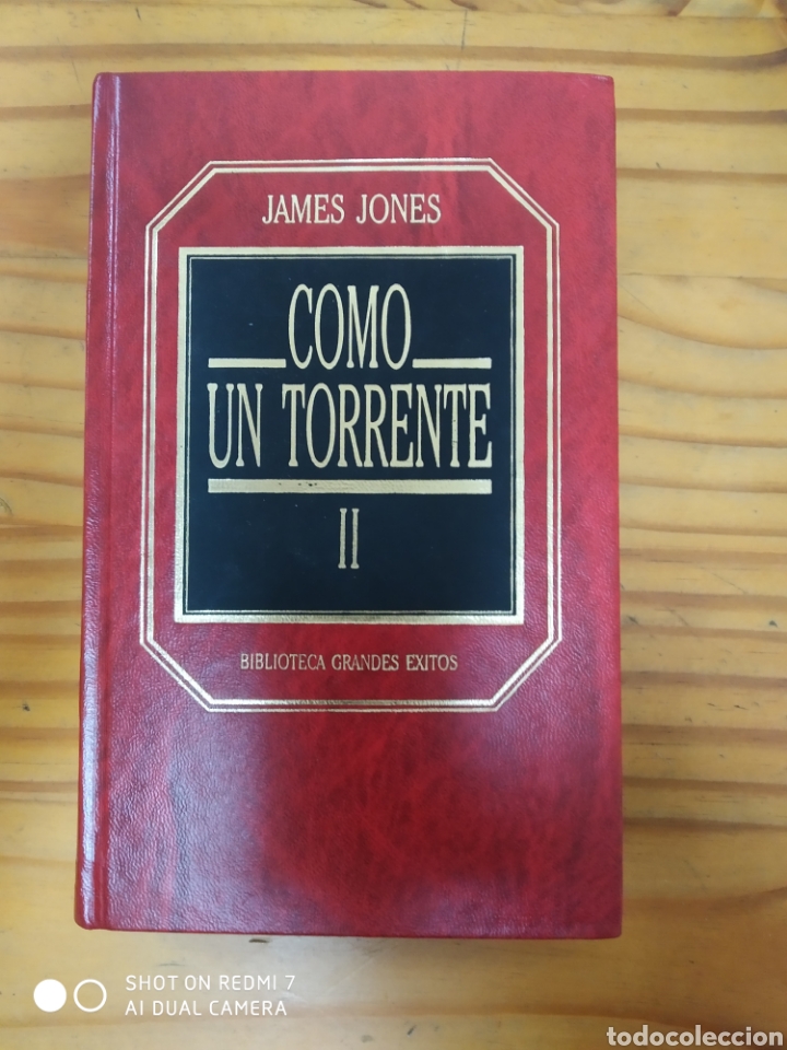 Libros: Como un torrente. - Foto 1